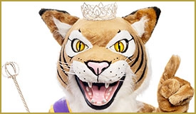 Mascots