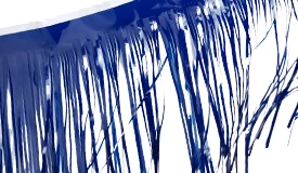 Shop All Fringe & Skirting