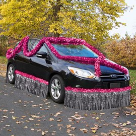 Pink and Silver Metallic Car Parade Decorating Kit