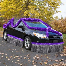 Purple and Silver Metallic Car Parade Decorating Kit