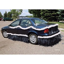 White and Black Vinyl Car Parade Decorating Kit