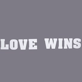 "Love Wins" Letters Parade Float Kit