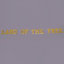 "Land of the Free" Letters Parade Float Kit