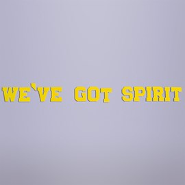Yellow We've Got Spirit Letters Parade Float Kit (set of 2)