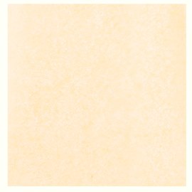 Parade Float Tissue Pomps - Vanilla